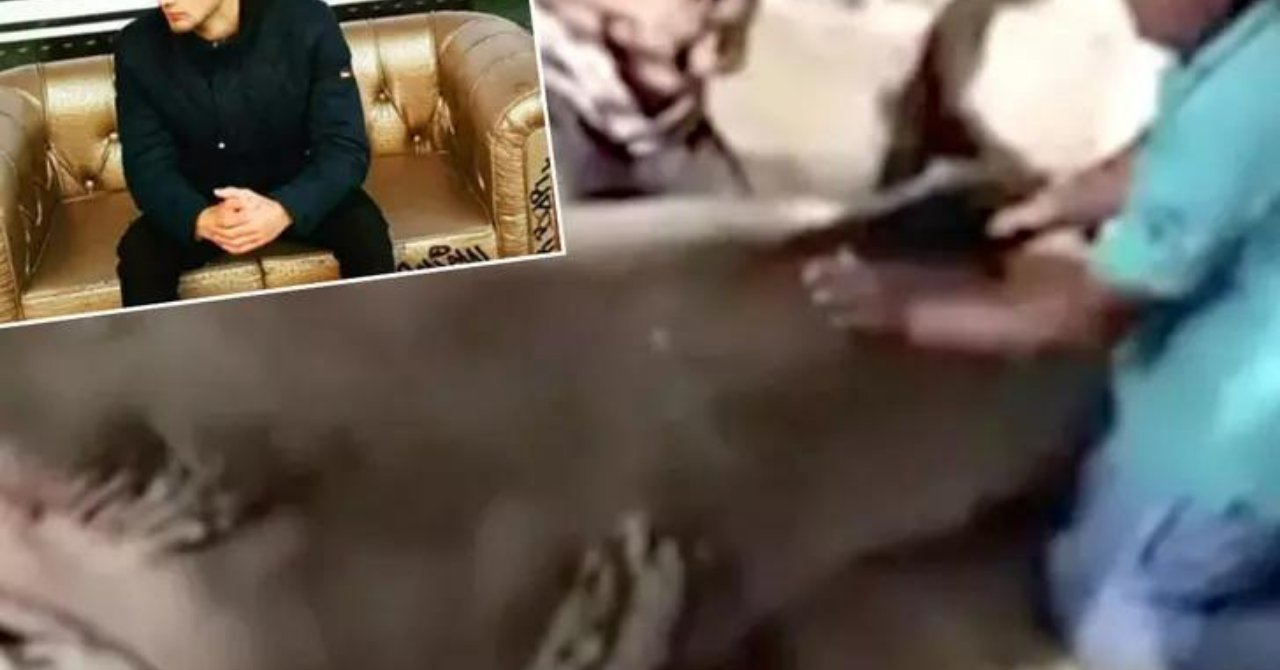 Dünya o köpek balığını konuşuyor! Öyle bir şey yaptı ki hakkında karar verildi!