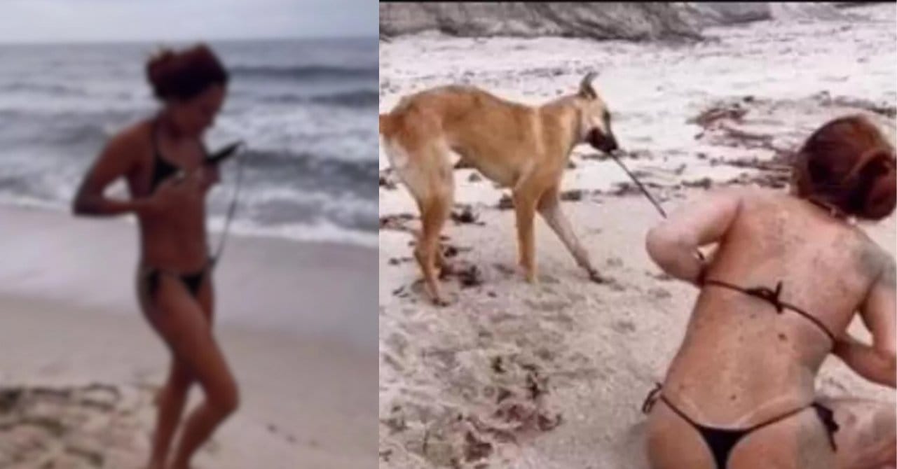 Köpek, sahilde bikini ipini çözdü! Sosyal medya fenomeni frikik vermemek için zor anlar yaşadı
