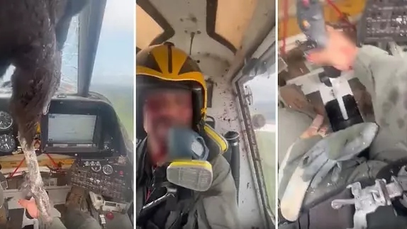 Havada panik! Devasa kuş camdan girdi, pilot tehlikeli anları kayda aldı