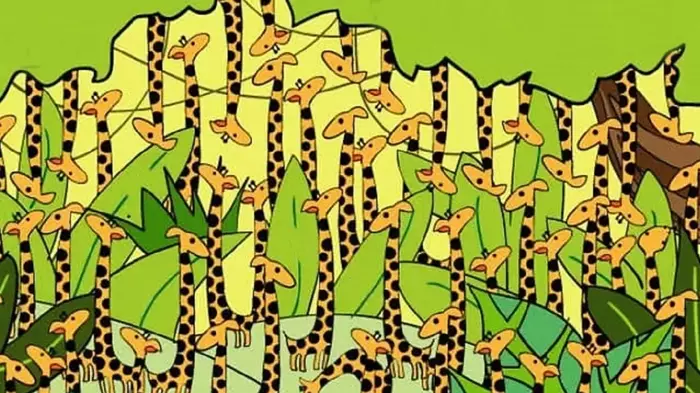 Optik illüzyon: Yılanı gördünüz mü? 9 saniyede bulanların IQ'su 134'ün üstünde