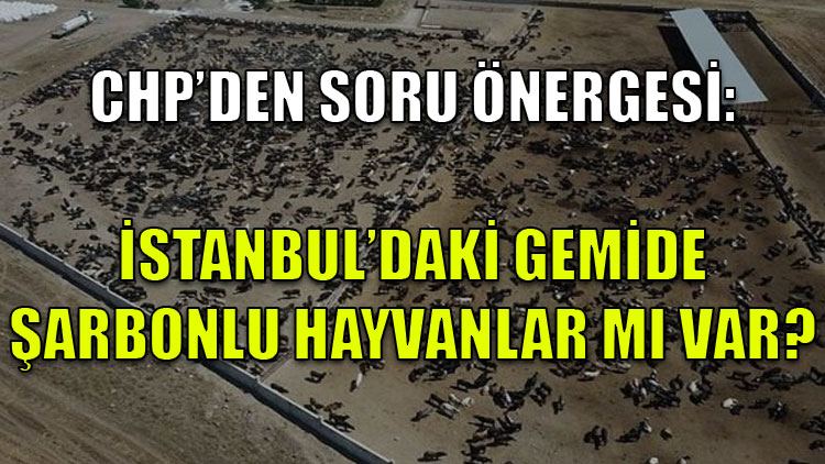 CHP'den soru önergesi: İstanbul'daki gemide şarbonlu hayvanlar mı var?