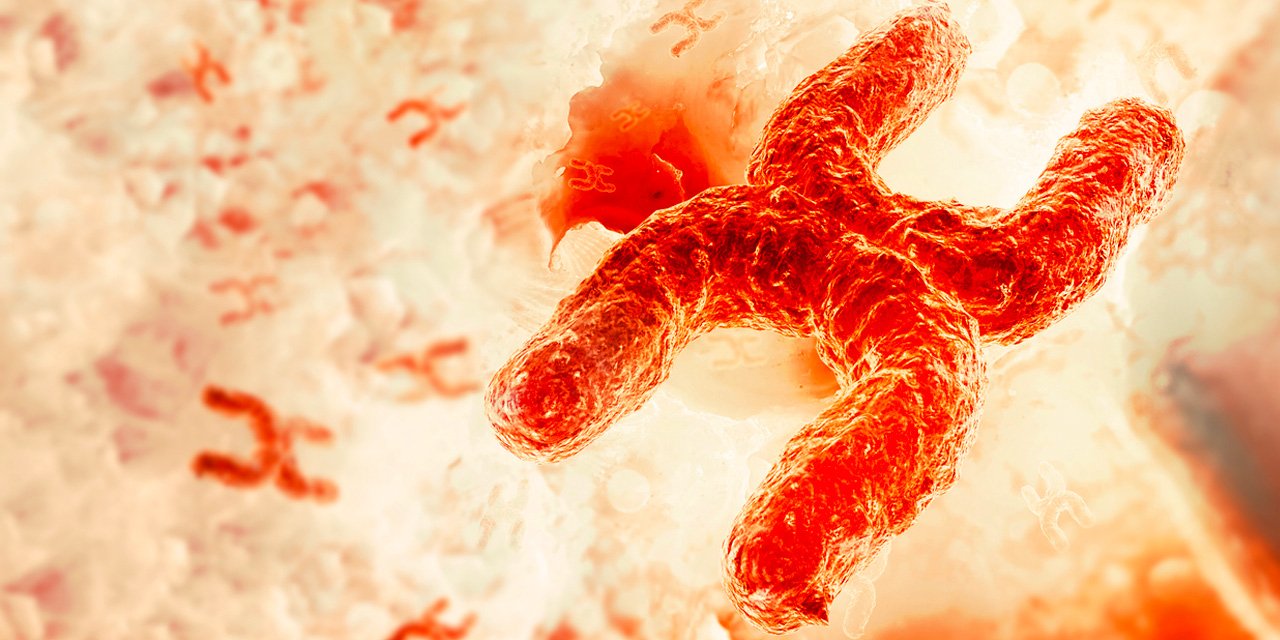 Bilim insanları açıkladı! İşte tedavisi olmayan hastalığı tetikleyen ilk 'kıvılcım'