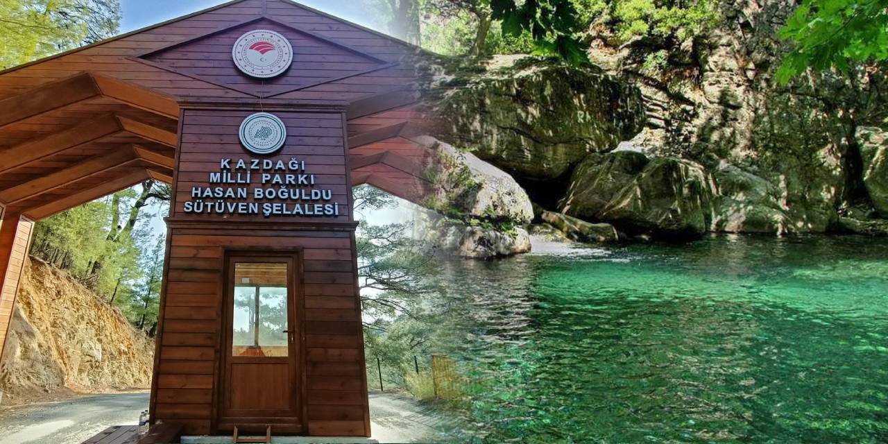 Saç Dökülme Nedenleri Nelerdir? Saçların Dökülmemesi İçin Ne Yapılmalı?