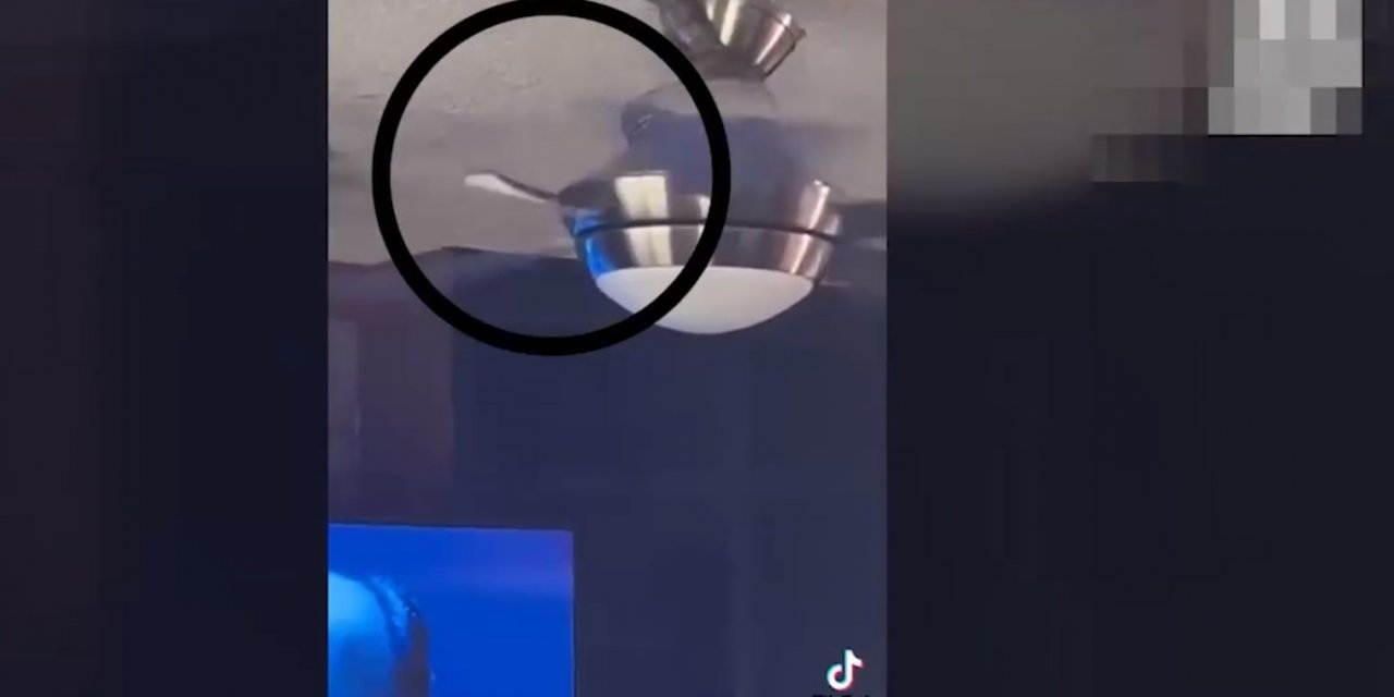 24 Milyondan Fazla İzlendi... Bu Görüntüler Ürkütebilir! Vantilatörden Bir Anda Üzerine Fırladı!