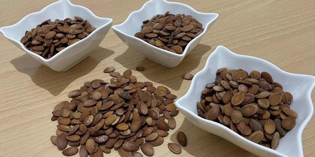 Kimse Yemiyordu Ama Uzmanlar Sperm Kalitesini Artırdığını Açıkladı!