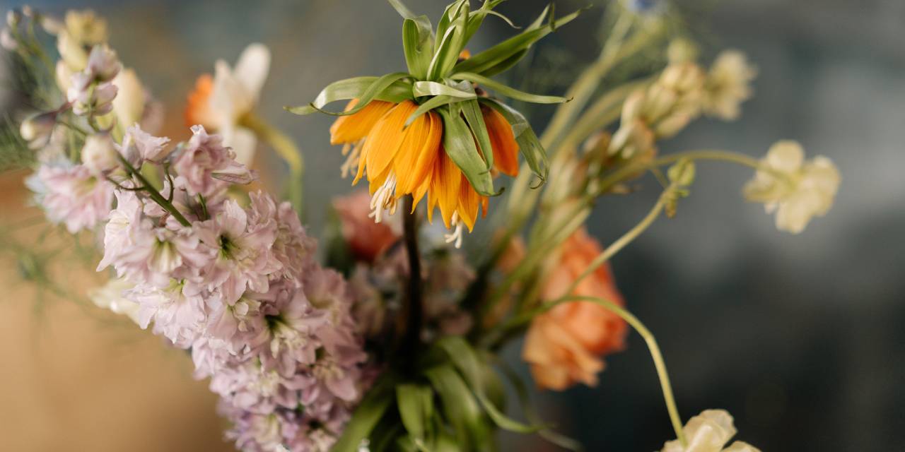 Solmuş Çiçekler Nasıl Canlandırılır?