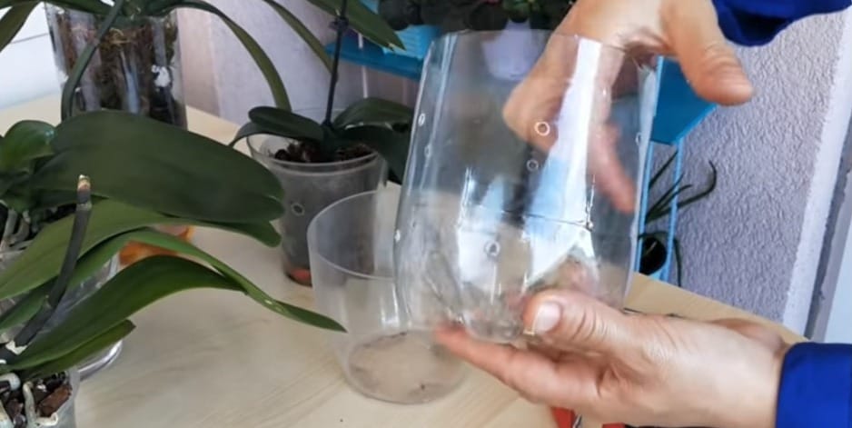 Bu Yöntem Kimsenin Aklına Gelmemişti! Geri Dönüşümü Bitki Ekiminde Kullanın!