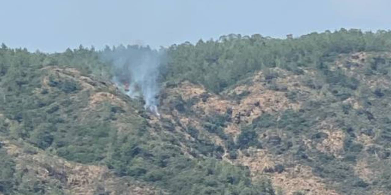 Son Dakika... Marmaris'te Orman Yangını