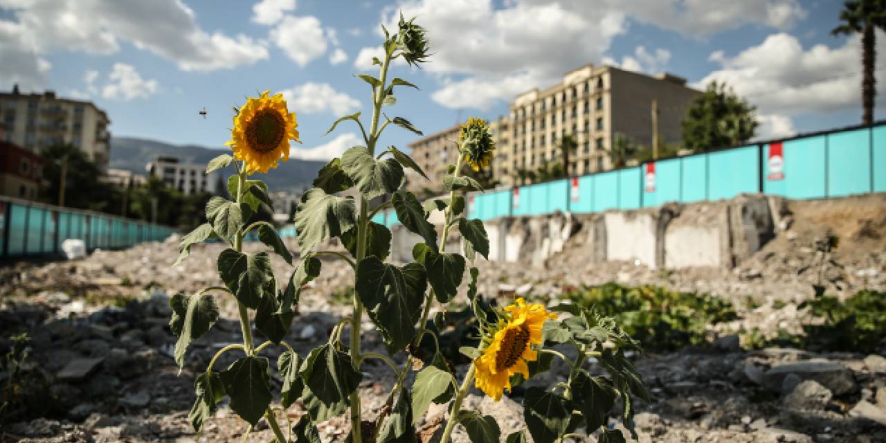 Hüzne Boğdu! Depremde Yıkılan Kuruyemişçideki Ürünler Toprakta Filizlendi