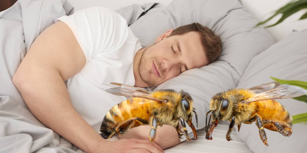 Rüyada Arı Görmek Ne Anlama Gelir?