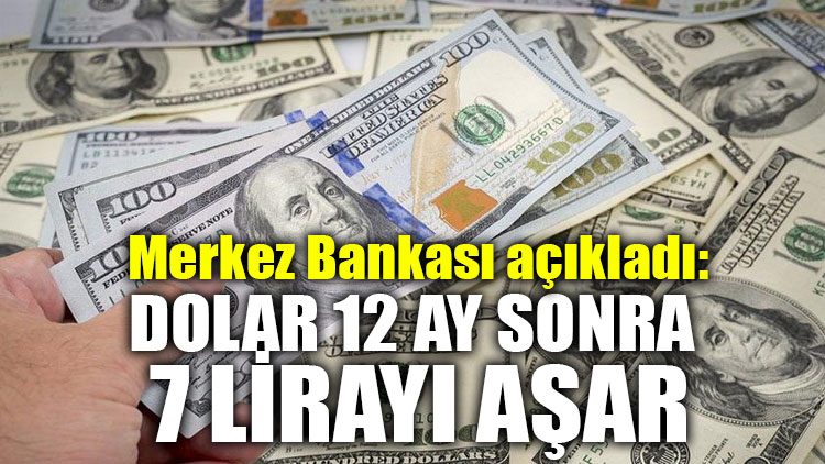 Merkez Bankası açıkladı: Dolar 12 ay sonra 7 lirayı aşar