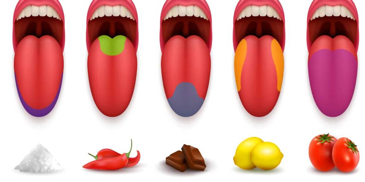 Umami Nedir? Umami Hangi Yiyeceklerde Bulunur?