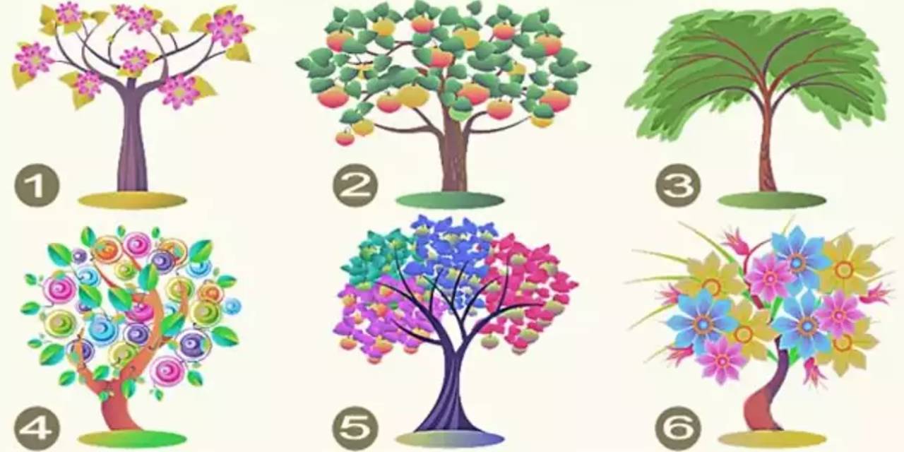 Kişilik Testi: Seçtiğiniz Ağaç Baskın Karakterinizi Açığa Çıkarıyor!