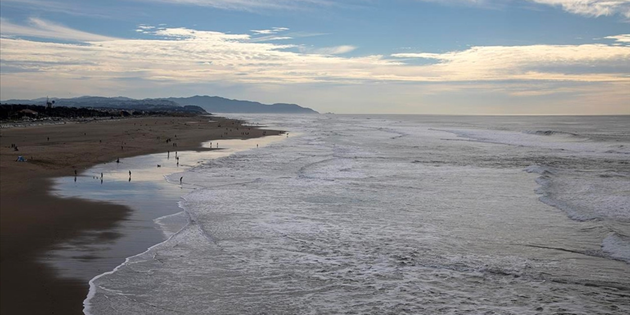 En son 50 yıl önce görülmüştü, tekrar ortaya çıktı!