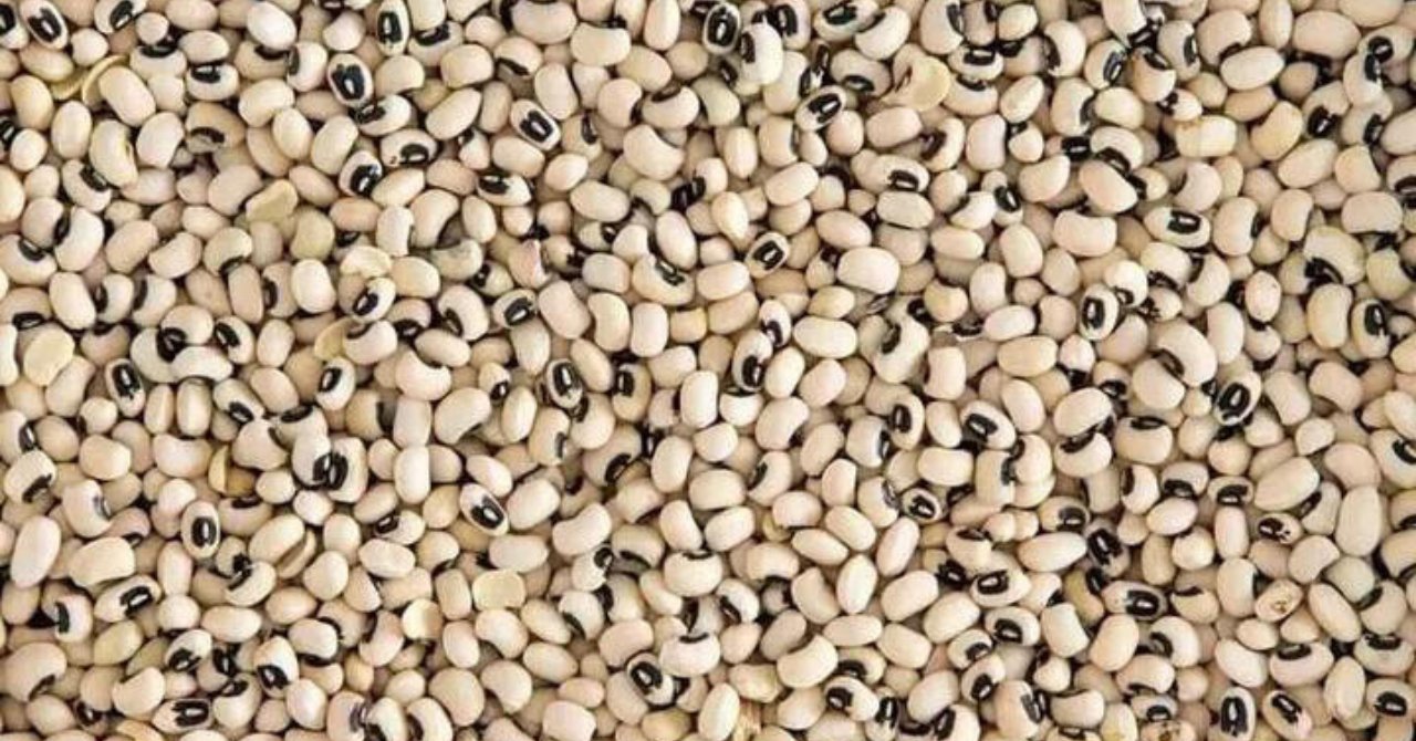 Ülkemizde kıymeti yeterince bilinmiyor! Resmen demir ambarı