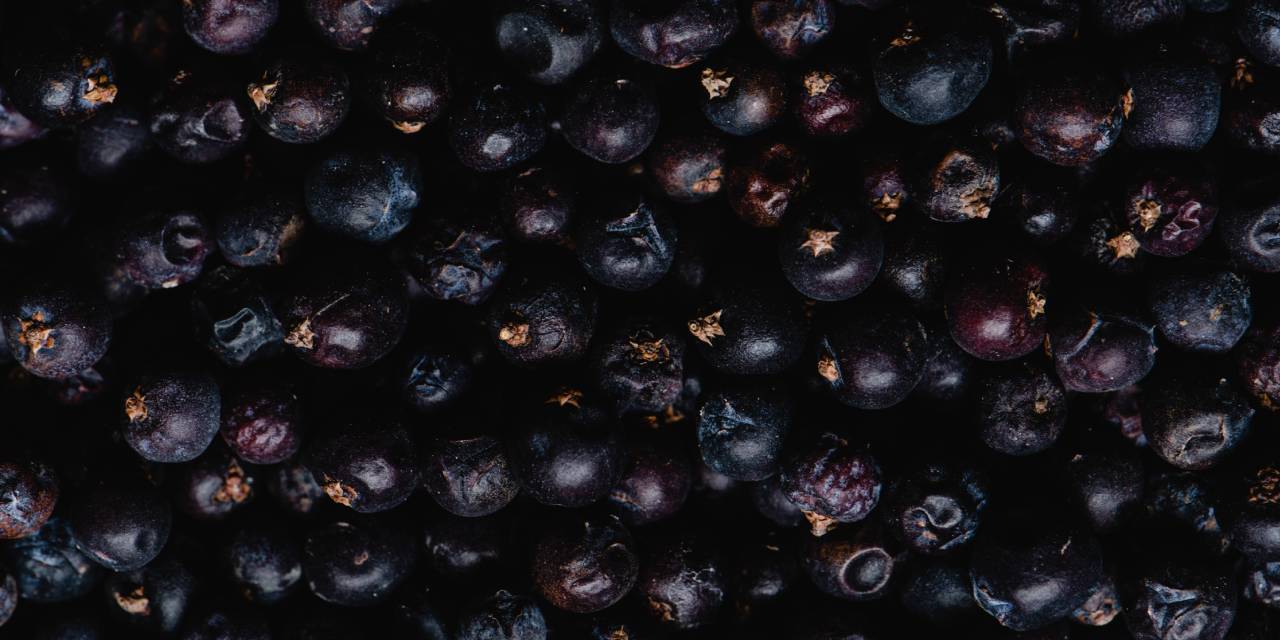 Ardıç Yağı Faydaları Nelerdir? Nasıl Kullanılır?