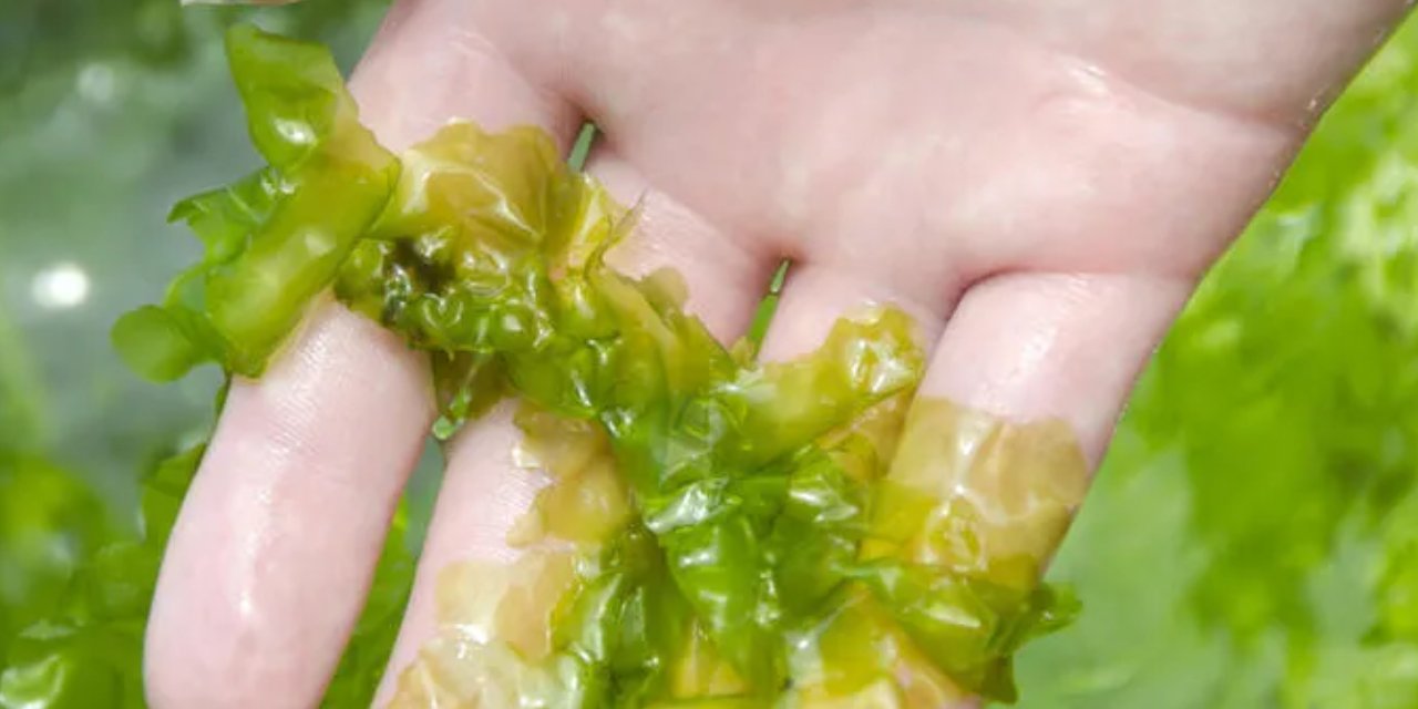 Denize gidenler mutlaka denemeli! Sivilceleri anında kurutan yöntem...