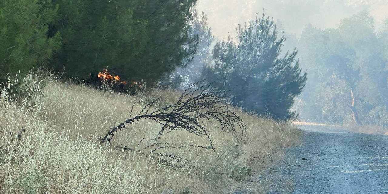 Kilis'te korkutan orman yangını!
