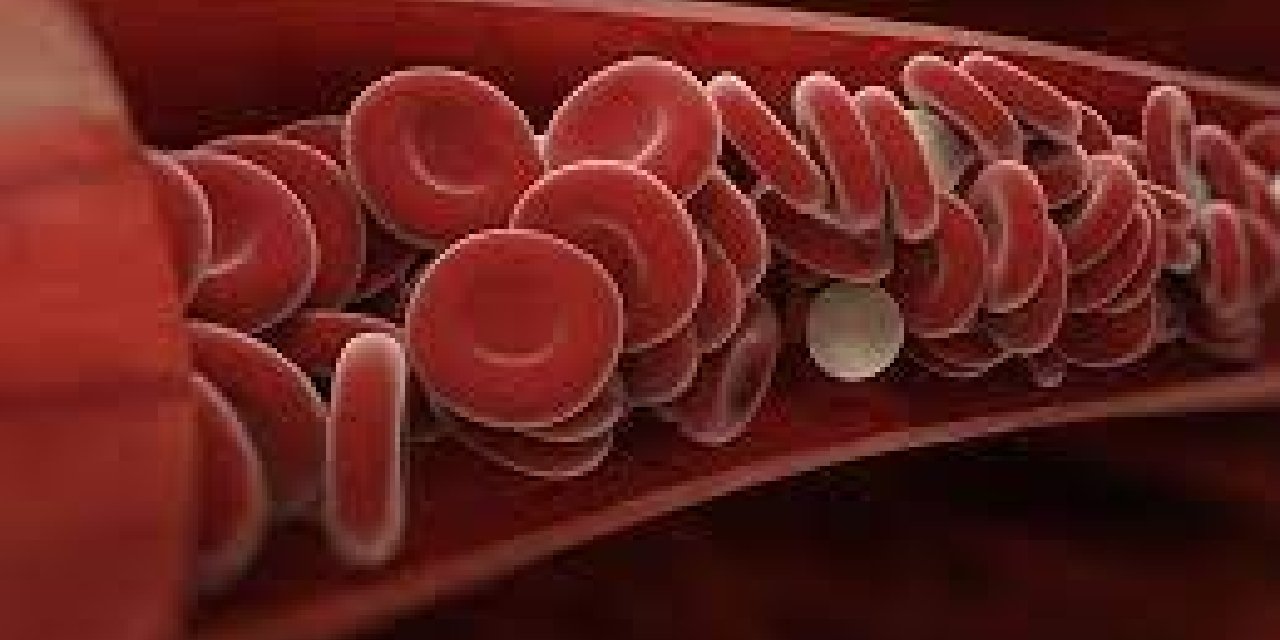 Kanın pıhtılaşmasını engelleyen  doğal bir "karışım"... Sihirli  karışım aslında  mutfakta....