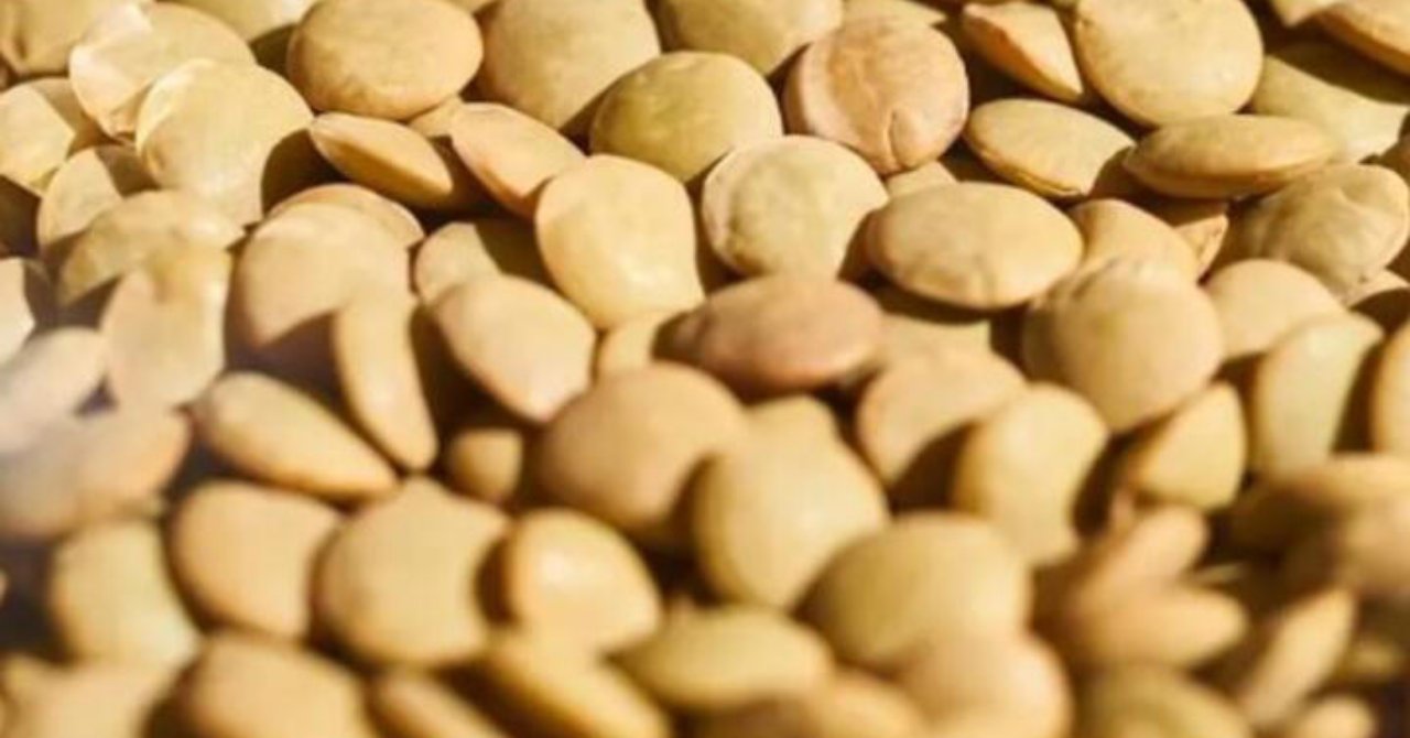 Test edildi onaylandı! Yumurtadan 10 kat fazla protein, etten 25 kat fazla demir içeriyor!