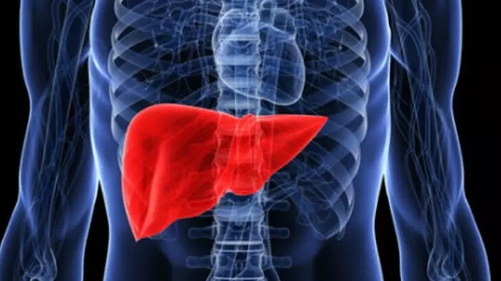 Dikkat! Bu belirtiler, siroza yakalandığınızın habercisi olabilir...