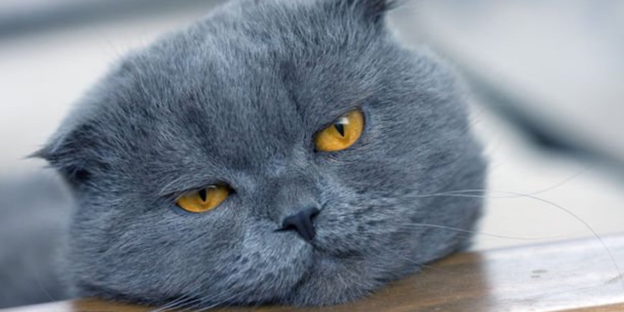 Uzun Yol Yorgunluğu Nasıl Atılır? İşte Yol Yorgunluğunu Önlemenin Yolları...