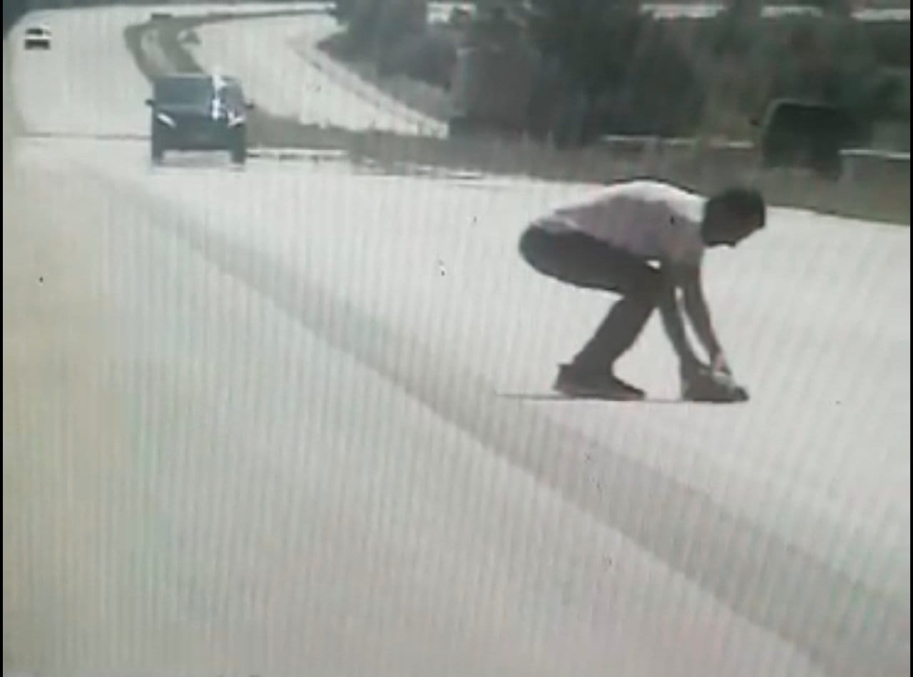 Yola Çıkan Kaplumbağayı Ezilmekten Radar Kurtardı