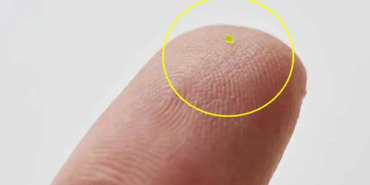 Deniz tuzu tanesinden küçük çantanın fiyatı tuzlu çıktı!