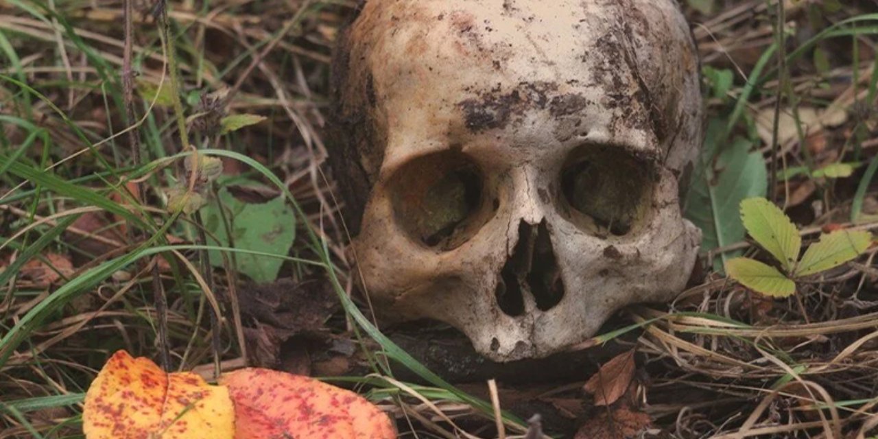Akrabaları tarafından yenilmiş! Yamyamlığın ilk kanıtları bulundu: 1,5 milyon yıl önce...