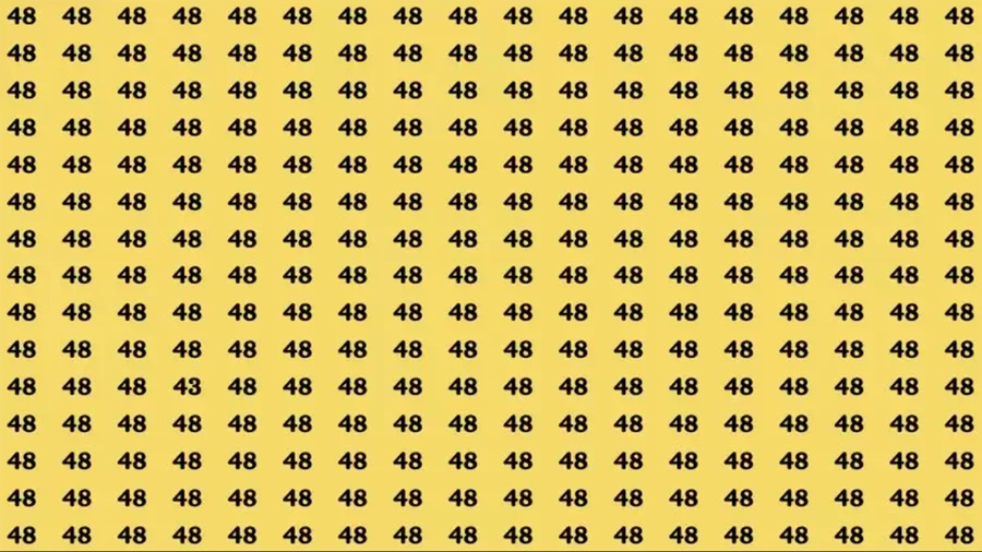 Sadece şahin gibi gözleri olanlar Bayram bulmacasını çözebiliyor. 48 rakamlarının arasına gizlenmiş farklı rakamı bulun:..