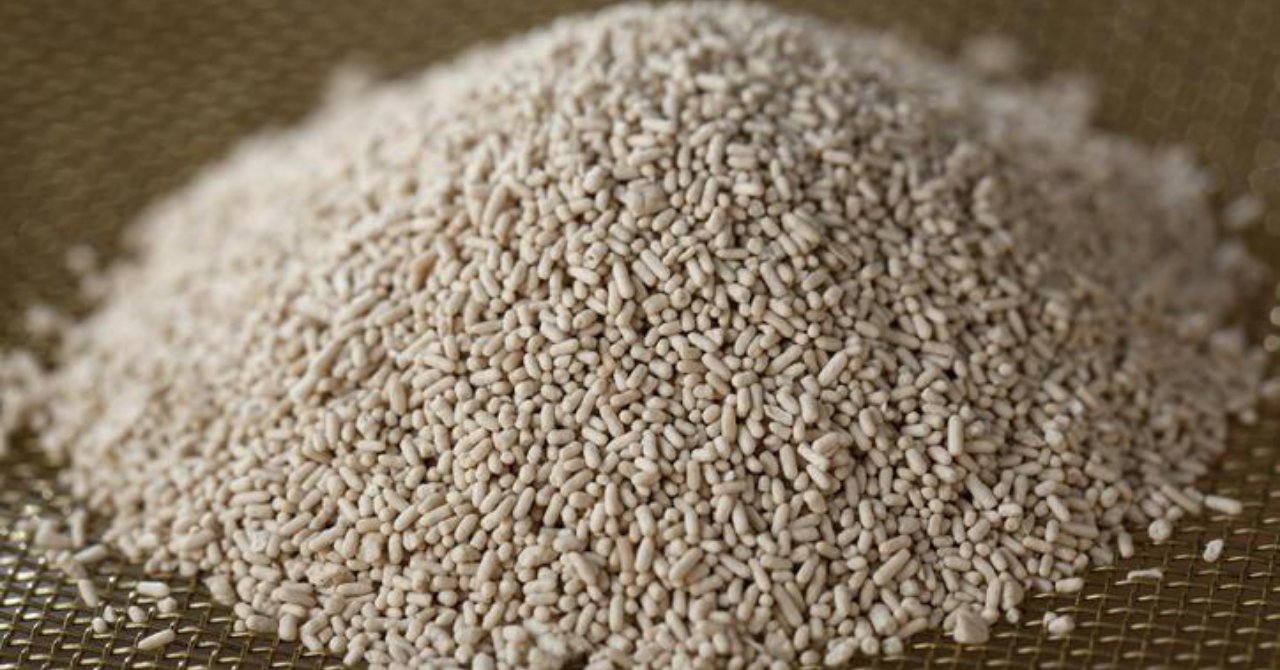 İnatçı sivilceleri 1 haftada kurutuyor! Cildimizi nasıl bebek gibi yaparız? İşte sihirli yöntem...