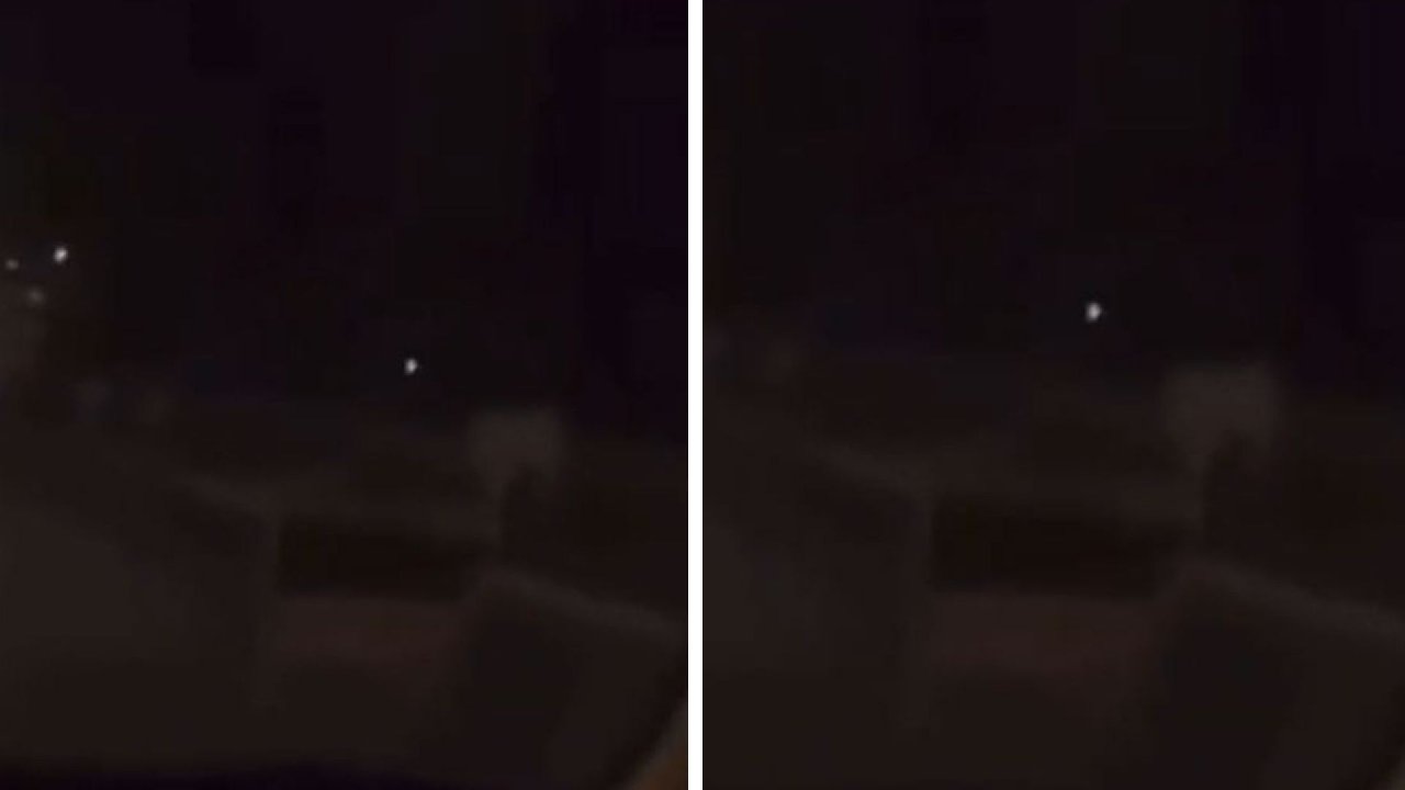 Paris sokaklarında aslanlar dolaştı