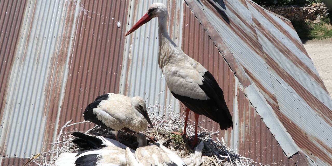 20 Yıldır Aynı Yerdeler