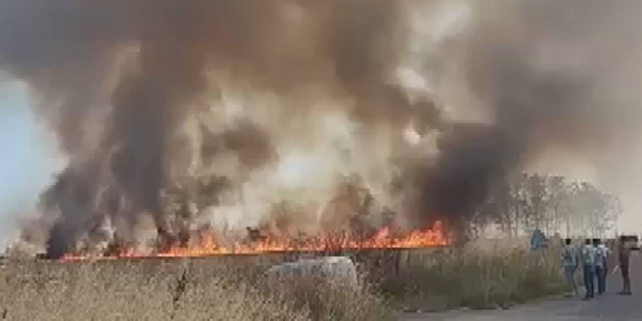 Çatalca'da yangın paniği... Tarlada çıktı, rüzgarla büyüdü