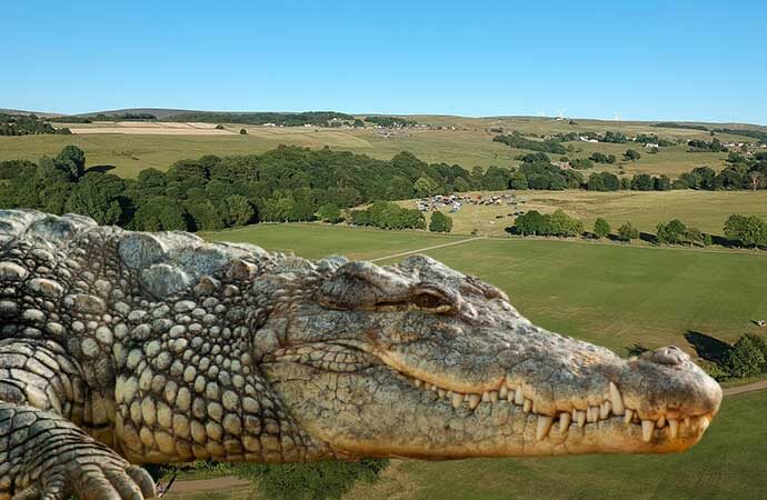 Bunu hiç duymamıştık... Polis baskın yaptı sapığın telefonundan timsah ve atla ilişkiye girdiği görüntüler çıktı