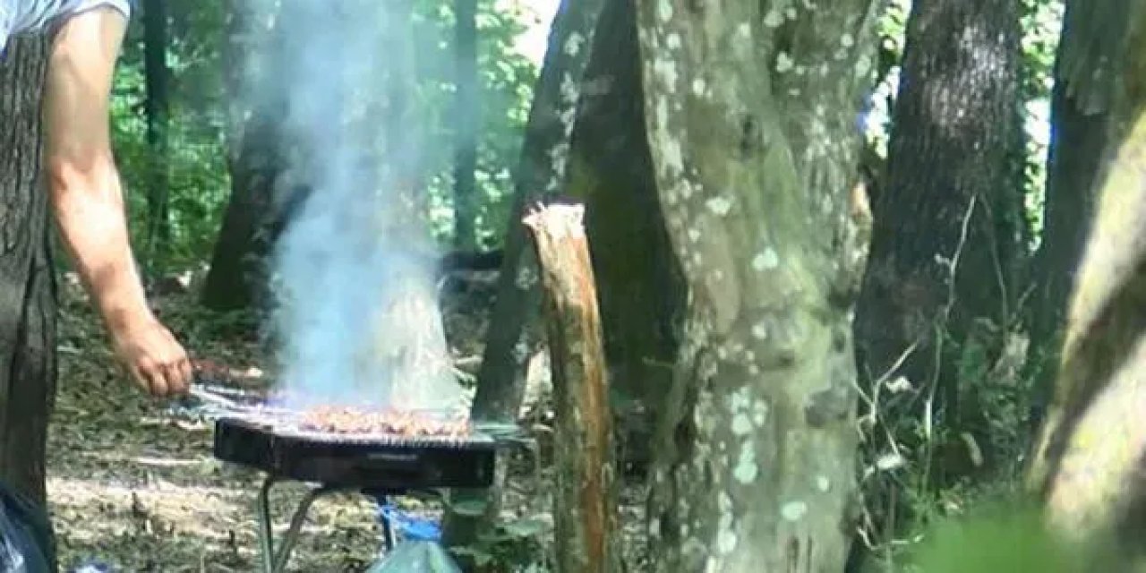 Ankara'da  Mangal Yasağı