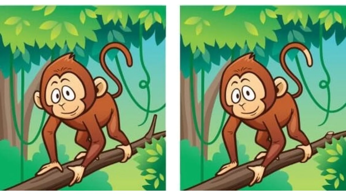 İki maymun resmi arasında 5 fark var. Onları 19 saniyede tespit edebilir misin? Gözlem becerilerinizi test edin.