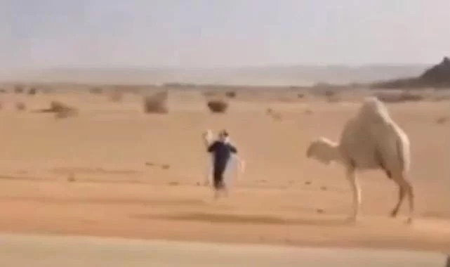 Deveyi yoldan çekmek isteyen adam ilginç bir yola başvurdu
