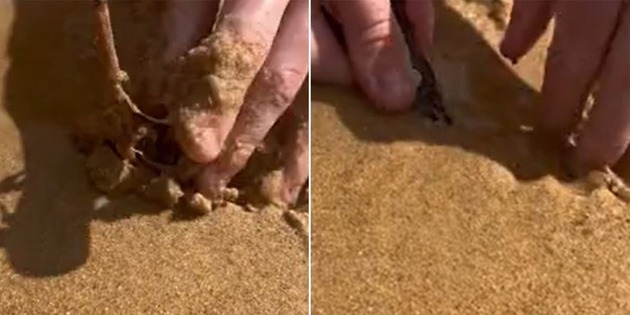 Plajda yatacağınız yeri bir kez daha düşünün! 'Yeni fobi yükleniyor'