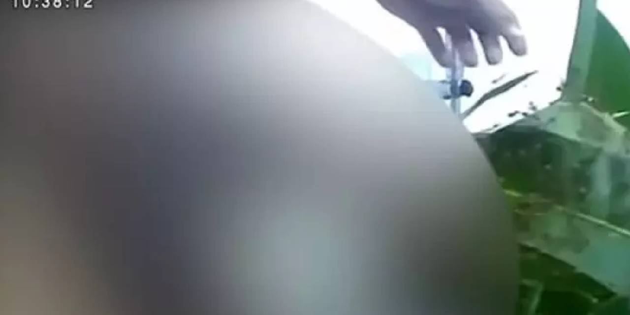 İğrenç olay... Bu yöntem kimsenin aklına gelmez! Cinsel organını büyütmek için karınca yuvasına soktu... Bir anda işler karıştı