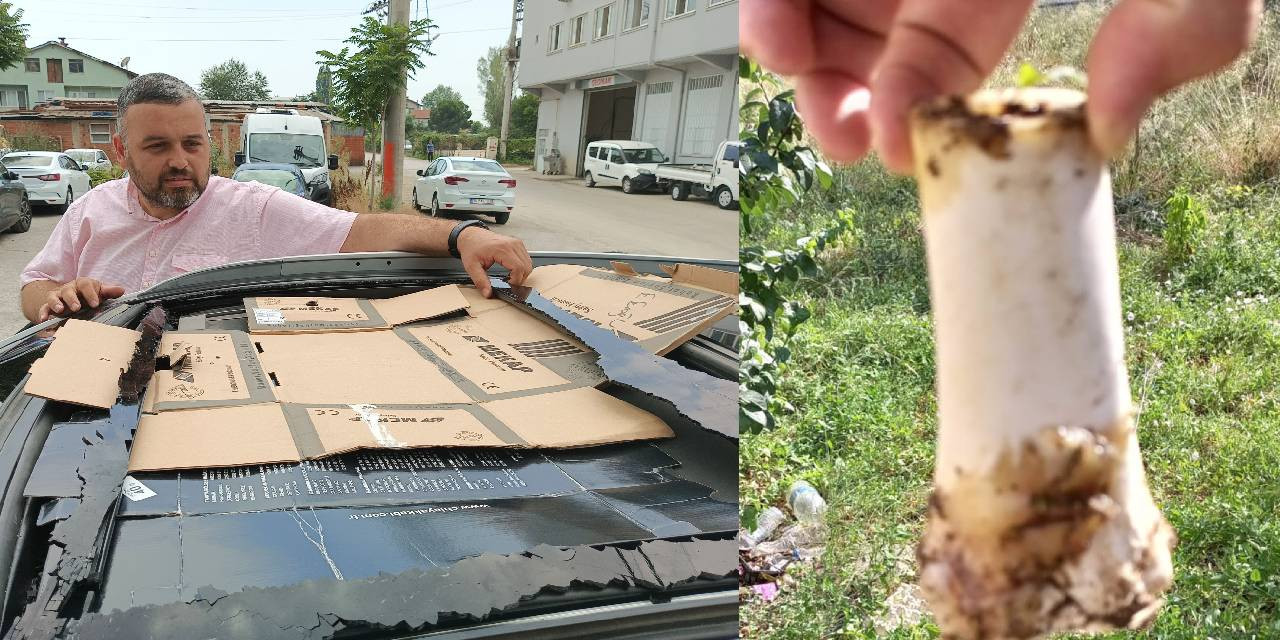 Apartmandan Atılan Kemik, Otomobilde 25 Bin Liralık Hasara Yol Açtı