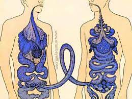 İlginç Bir Tedavi Yöntemi...Ölümcül Enfeksiyonlarda  Dışkı Nakli Antibiyotikten Daha Başarılı