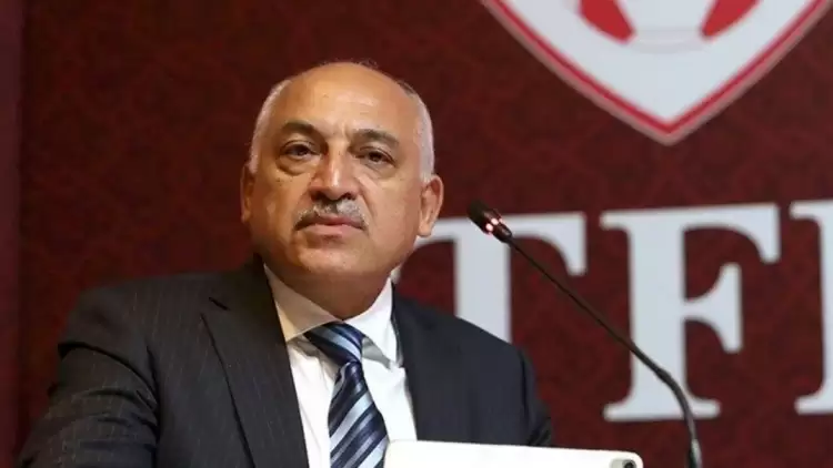 TFF Başkanı Mehmet Büyükekşi, Milli Takım Sorumlusunu Değiştiriyor