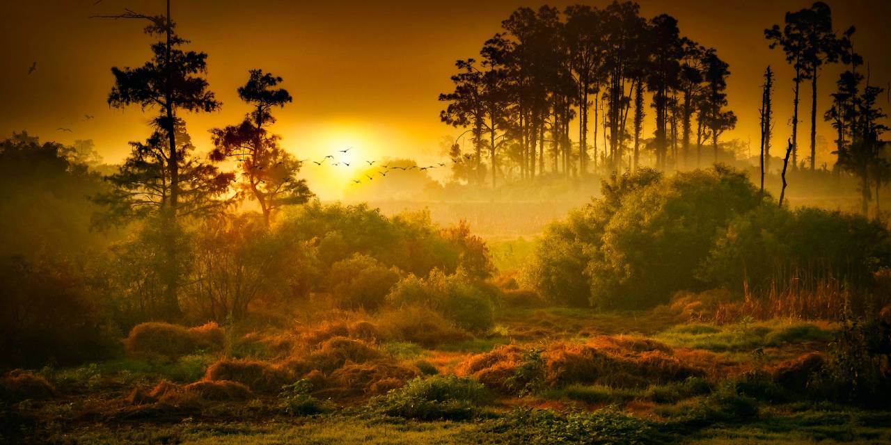 Sirius Güneş Kavuşumu Nedir? 6 Temmuz Sirius Güneş Kavuşumunda Ne Yapılır?