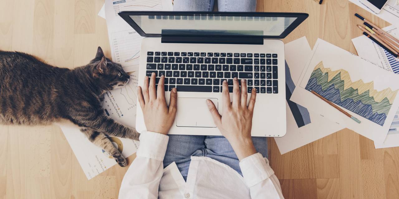 Hibrit Çalışma Ruh Sağlığına İyi Geliyor!