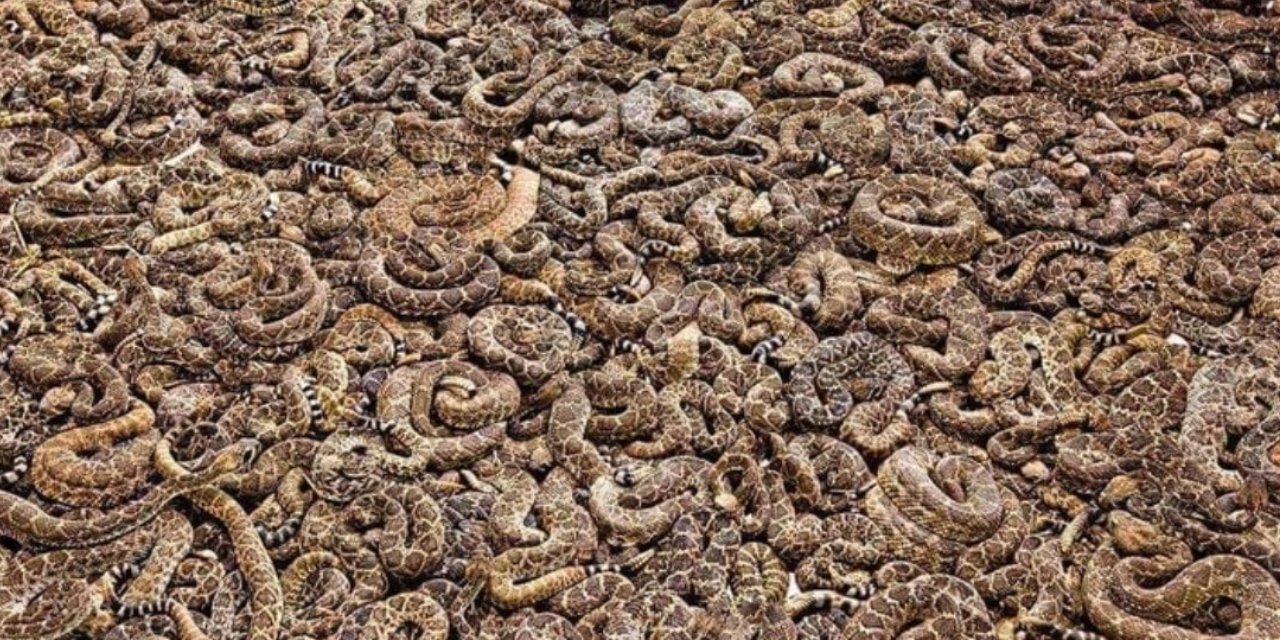 Uzmanlar yaz ayları için uyarıyor! Bu hata felaketi getirebilir! Evinizde bulabilirsiniz...