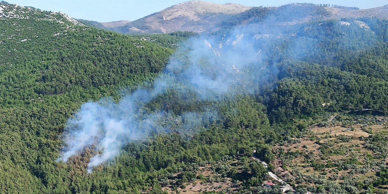 Milas'ta Korkutan Orman Yangını!