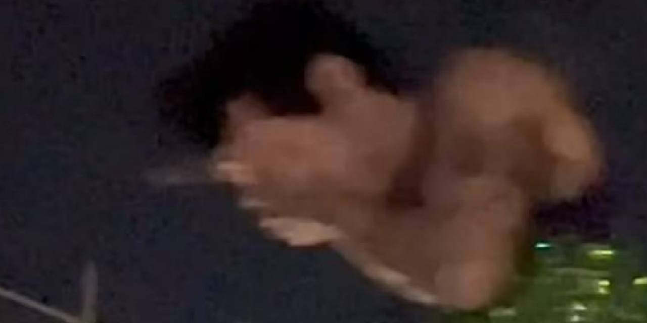 Sahneye fırlatılan cisim ünlü şarkıcının gözüne çarptı