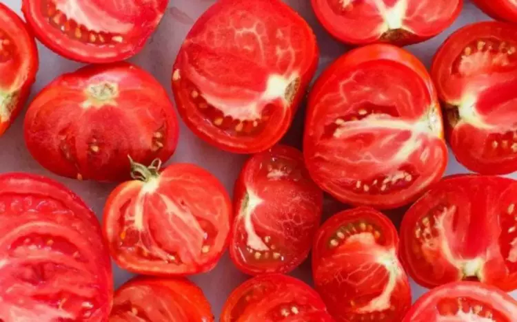 Kahvaltıda çiğ domates yiyenler yandı! Resmen zehre dönüşüyor