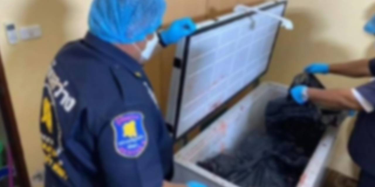 Emlak Kralının Parçalara Ayrılmış Cesedi Dondurucuda Çıktı